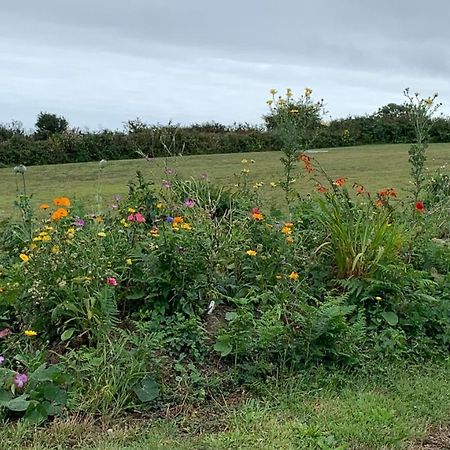 Appartamento Penzance, Private Annexe With Beautiful Views. Ludgvan Esterno foto
