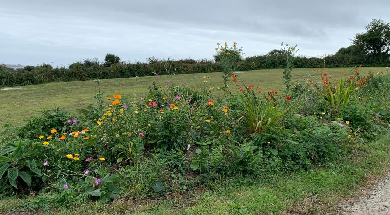 Appartamento Penzance, Private Annexe With Beautiful Views. Ludgvan Esterno foto